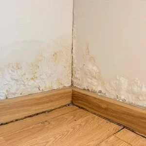 How to Spot the Signs Your Cavity Wall Insulation Has Failed