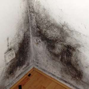Reasons to Get Your Insulation Removed If Faulty or Failed